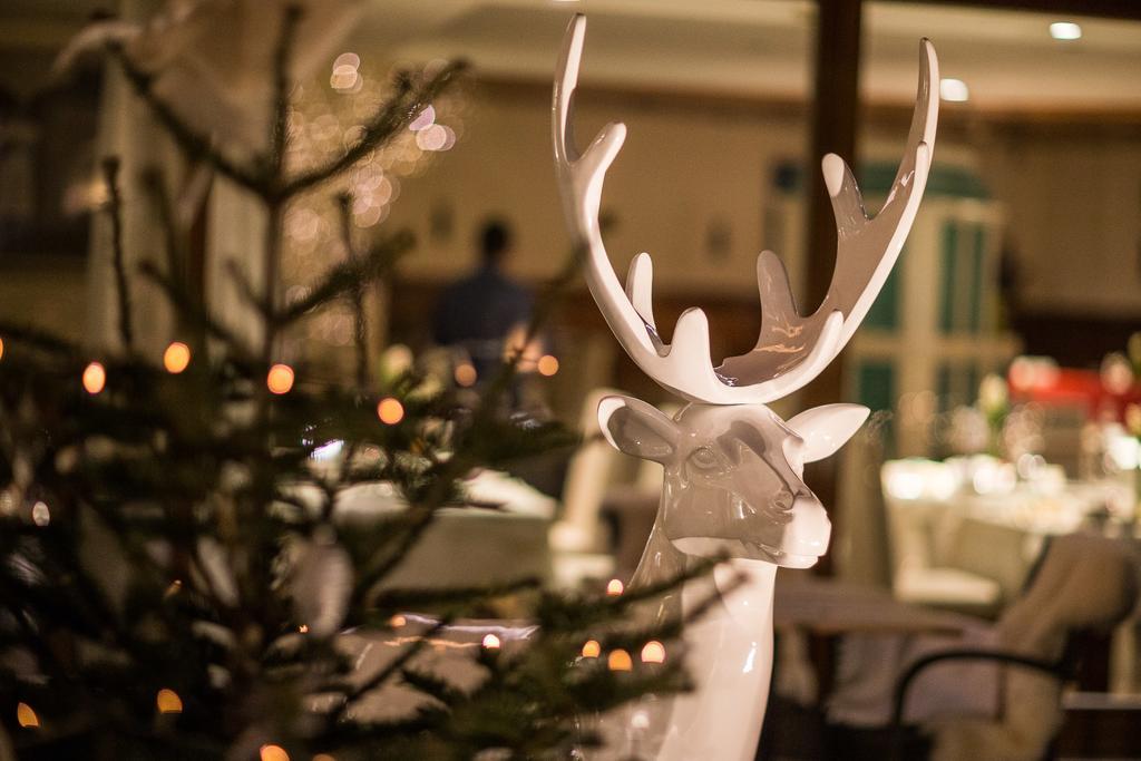 Hotel Boutique Zum Rosenbaum 4*